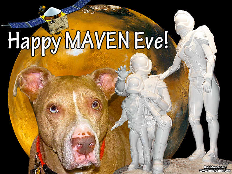 maven_131117