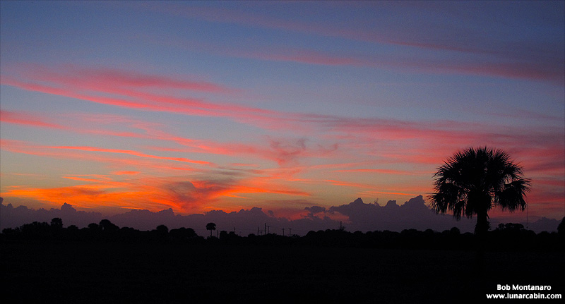 cattlemen_cookout_131211_1