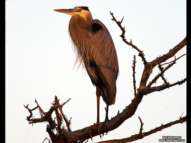 space_holiday_131223_6