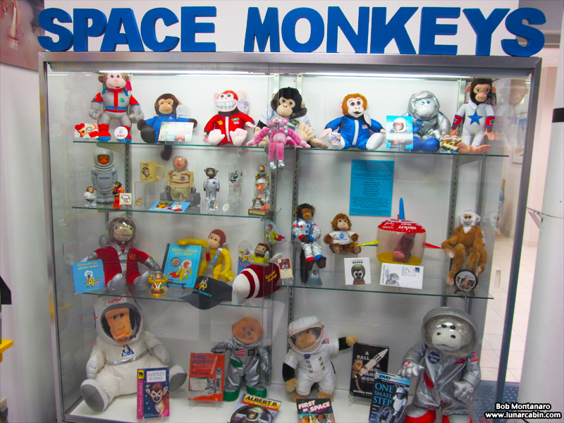 space_monkeys_140610_1
