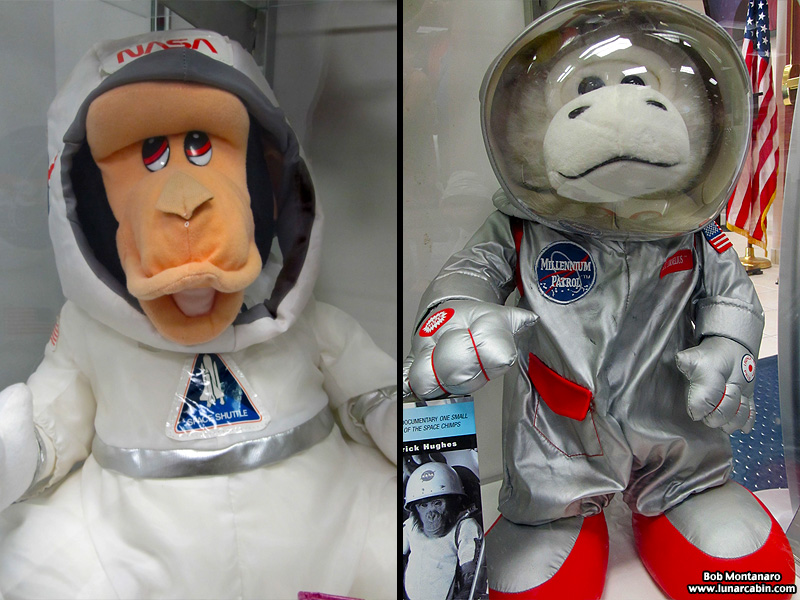 space_monkeys_140610_4