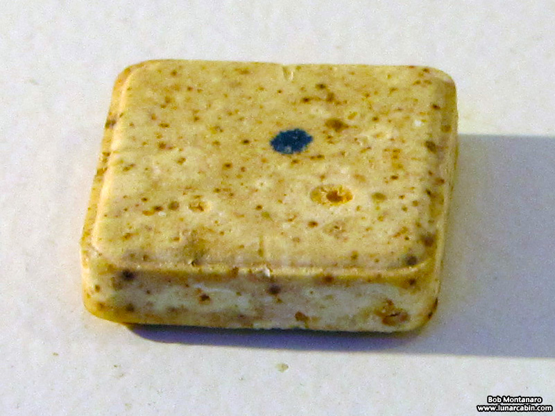 space_monkeys_140610_6