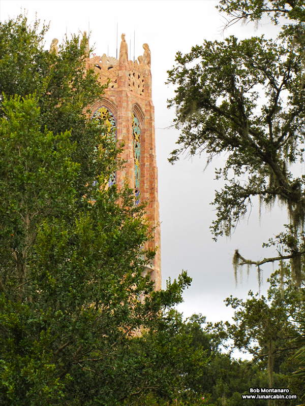 wildflower_symposium_140919_1