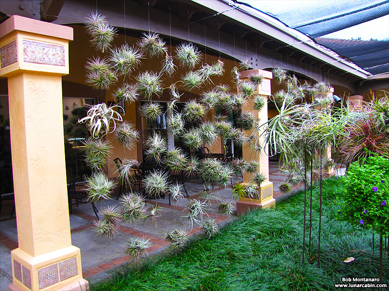 wildflower_symposium_140919_5