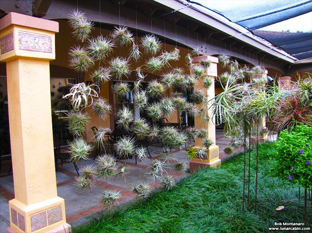 wildflower_symposium_140919_5