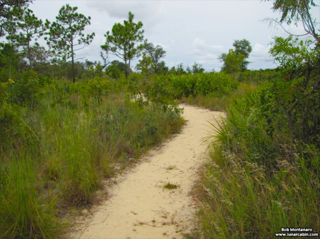 wildflower_symposium_140919_7