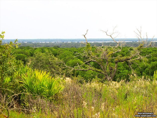 wildflower_symposium_140919_9