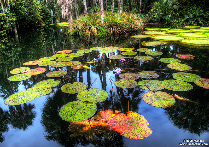 wildflower_symposium_140921_6