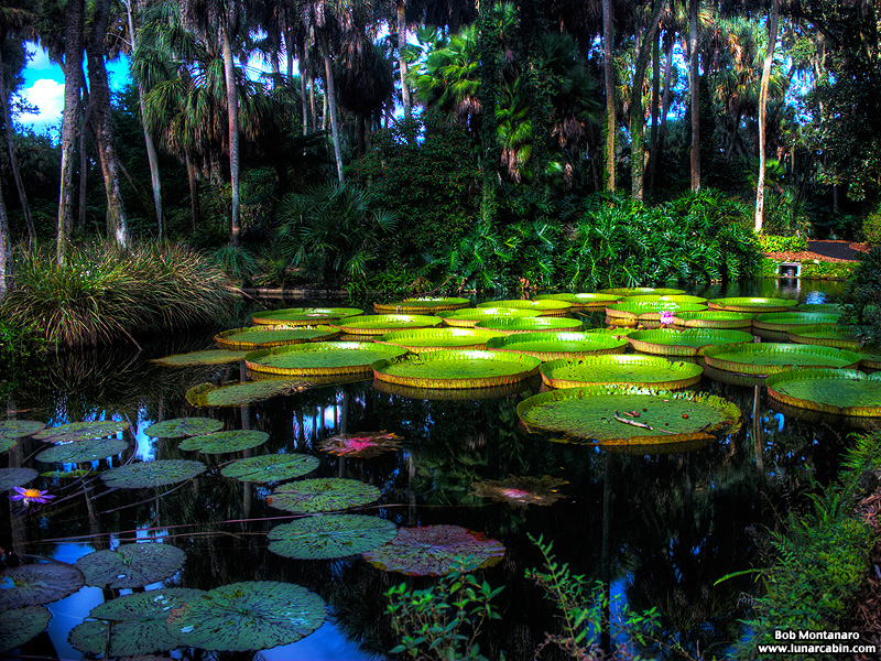 wildflower_symposium_140921_8