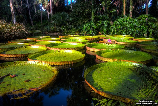 wildflower_symposium_140921_9