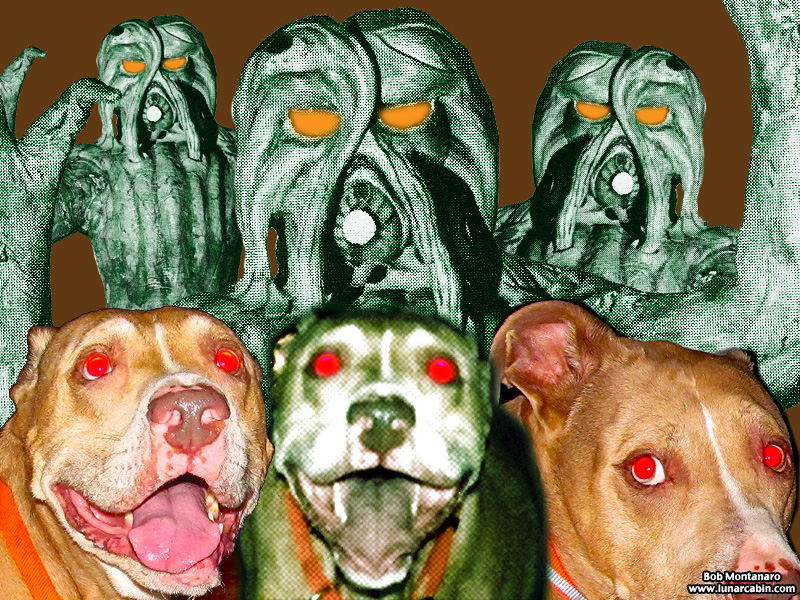 halloween_sam_2014_1