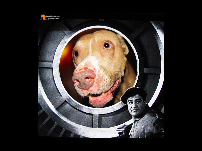 halloween_sam_2014_4