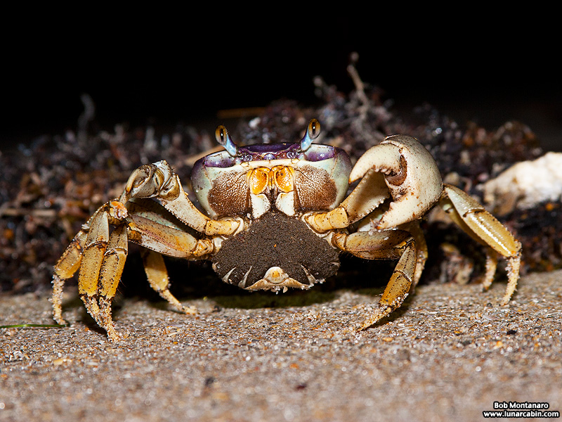 otherworldly_beach_141006_2