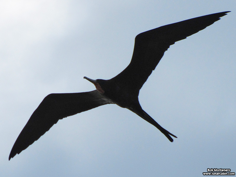 janice_sunset_141130_1