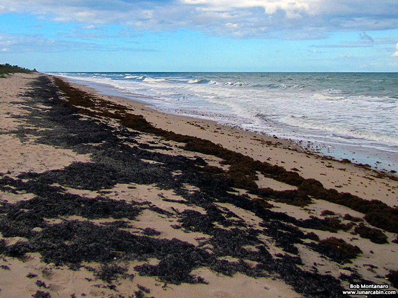 janice_sunset_141130_2