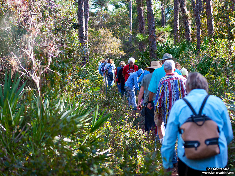 ORCA_Eagles_150207_3