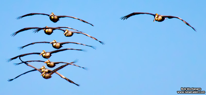 trespass_house_150329_1