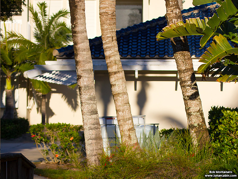 trespass_house_150329_5