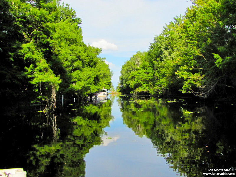 blue_cypress_lake_150419_3