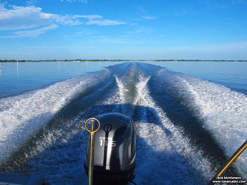 pelican_island_150815_11