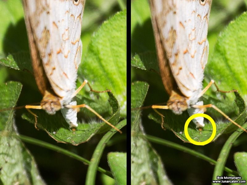 teaching_garden_150911_9