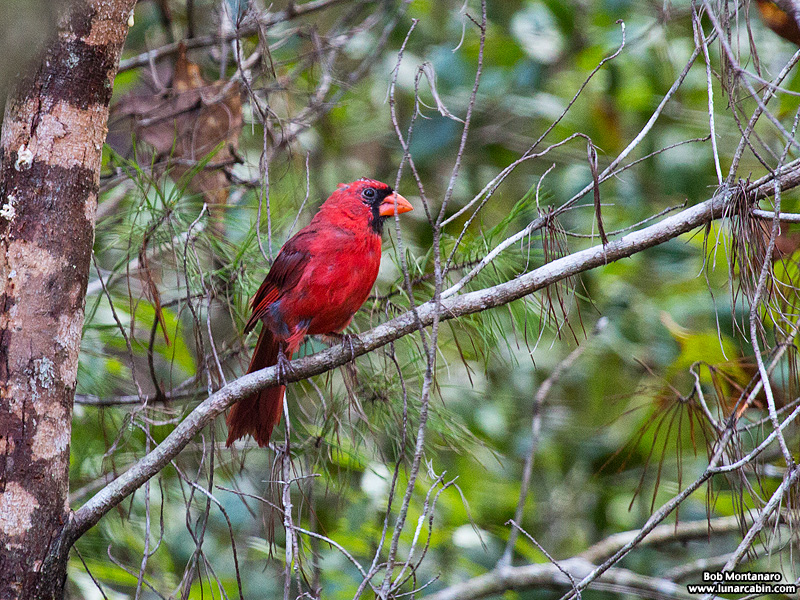 turkey_creek_150905_8