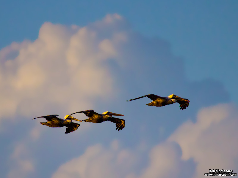 blustery_beach_151125_4