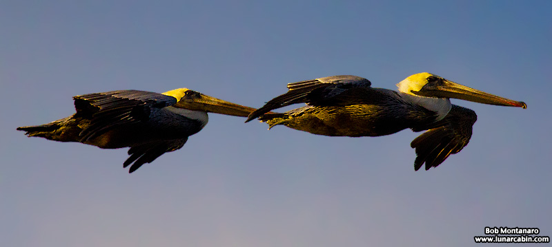 blustery_beach_151125_5