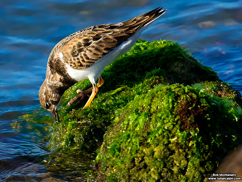 inlet_interlude_151216_10