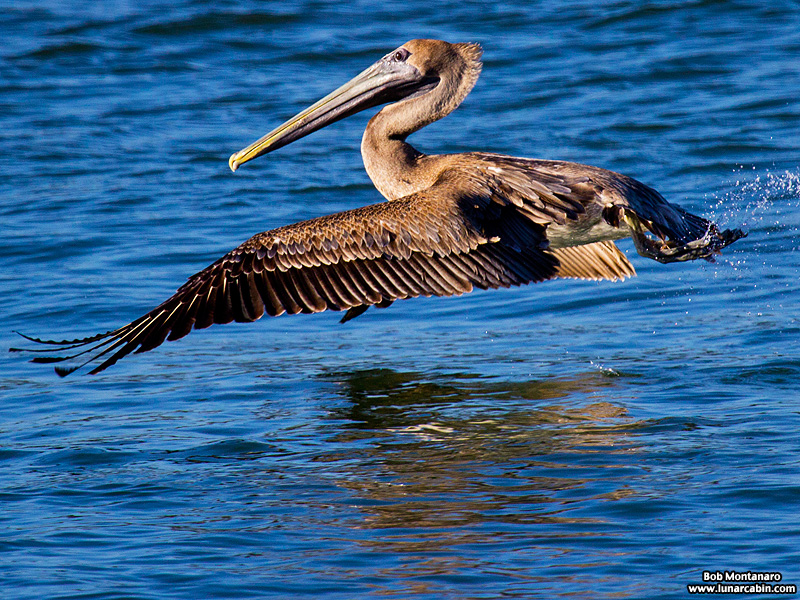 inlet_interlude_151216_11