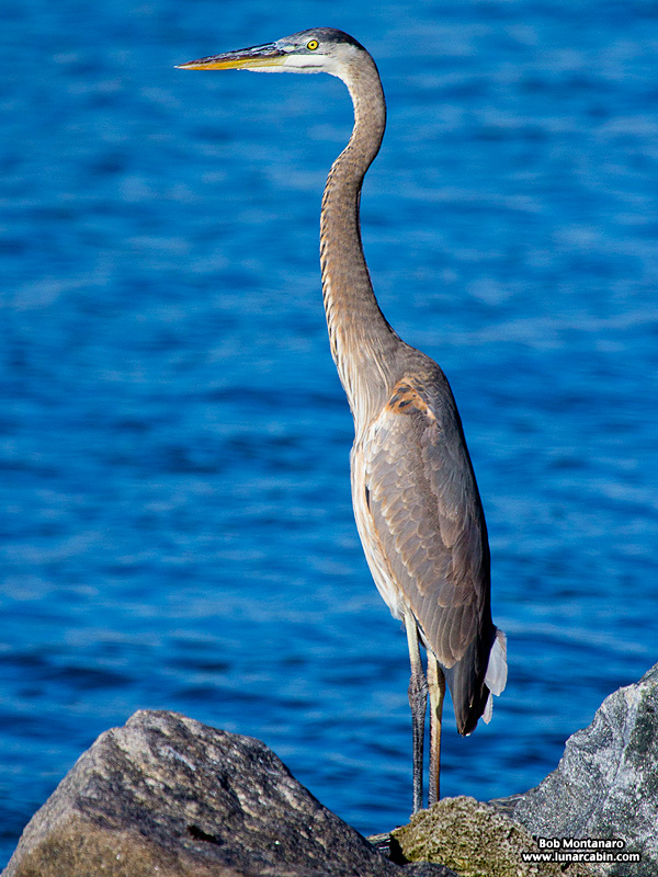 inlet_interlude_151216_2