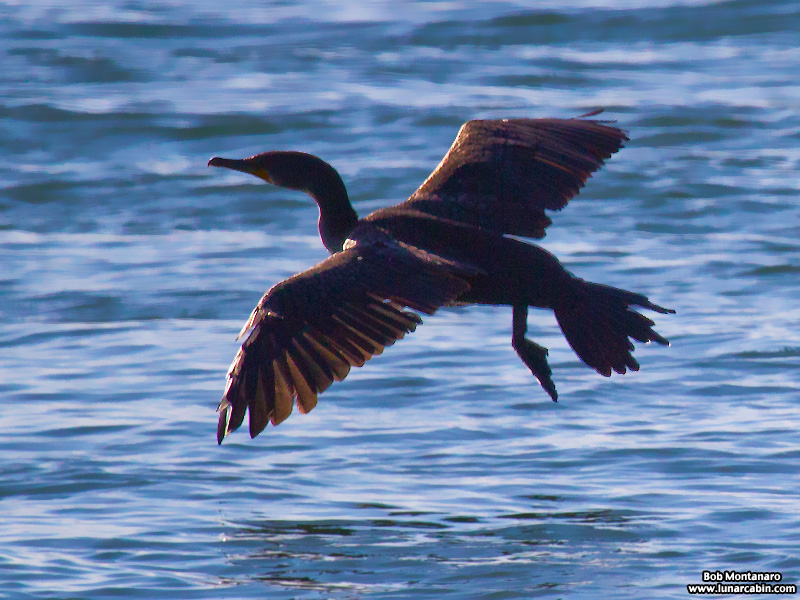 inlet_interlude_151216_3