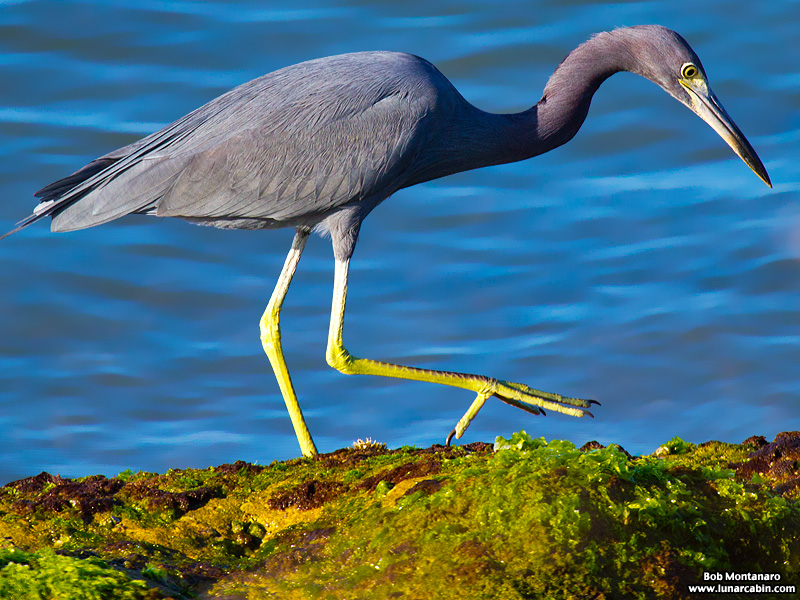 inlet_interlude_151216_7