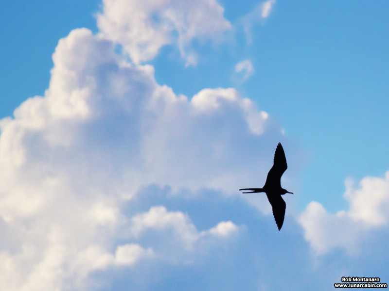 inlet_interlude_151216_8