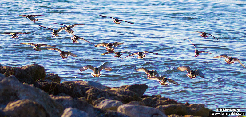 inlet_interlude_151216_9