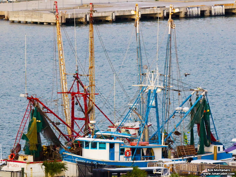 waiting_for_oa4_151211_13