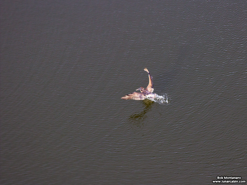 waiting_for_oa4_151211_4