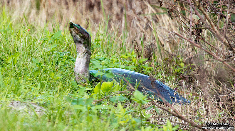 waste_water_plant_151210_10