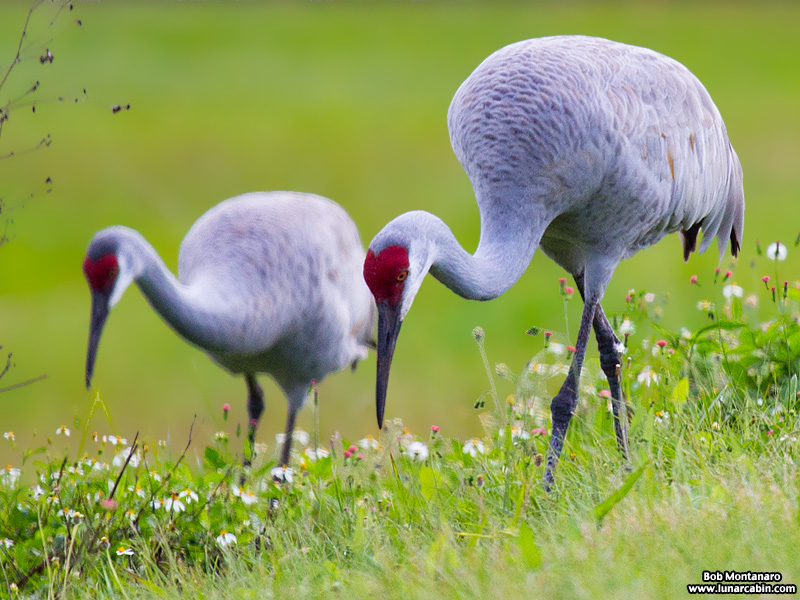 waste_water_plant_151210_11