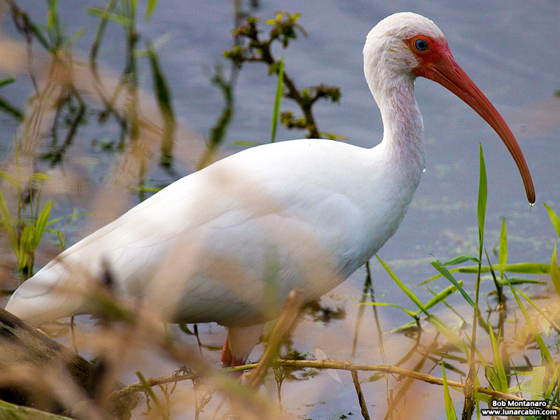 waste_water_plant_151210_12