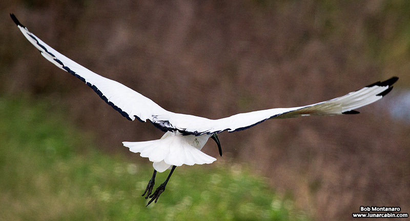 waste_water_plant_151210_17