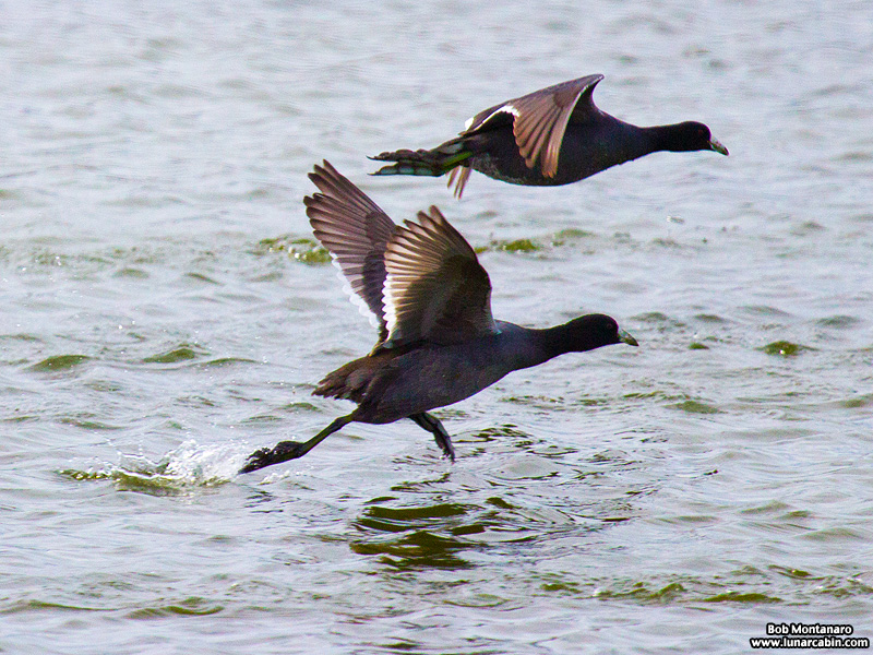 waste_water_plant_151210_2