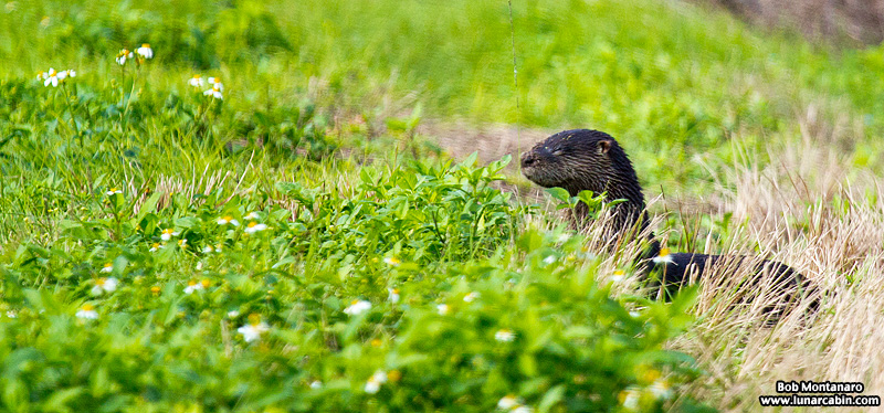 waste_water_plant_151210_6