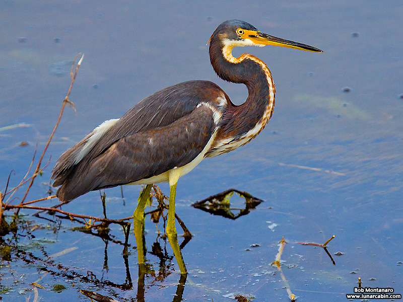 waste_water_plant_151210_8