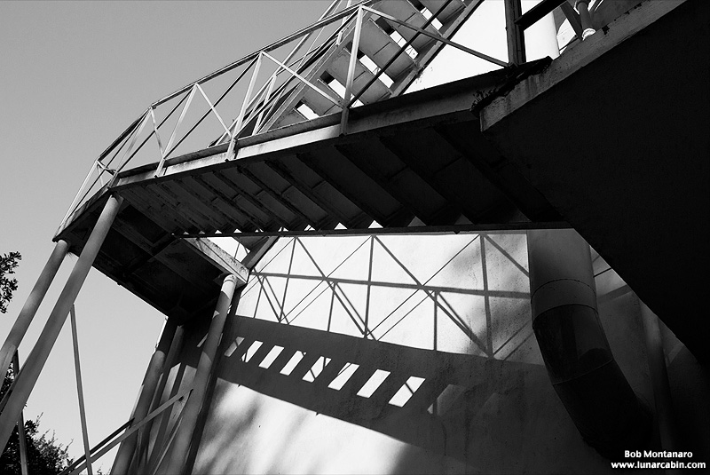 mosquito_lab_160213_13