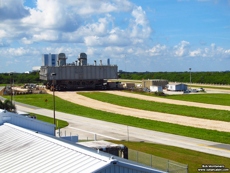 black_vulture_151031_1