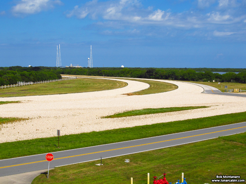 black_vulture_151031_2