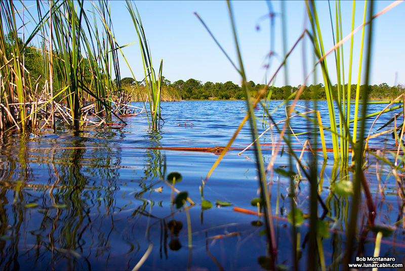 indrio_savannahs_160508_16