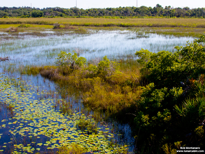 indrio_savannahs_160508_6