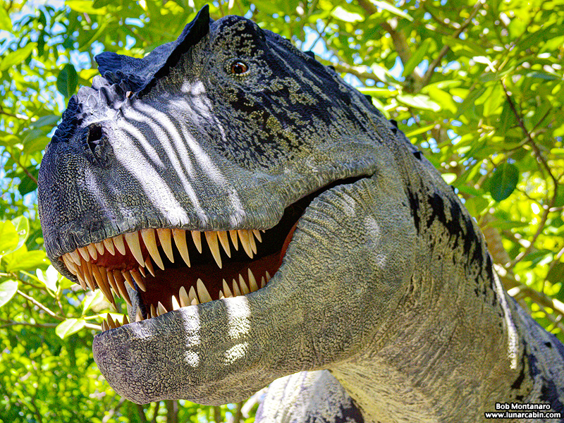 mckee_dinosaurs_160419_14